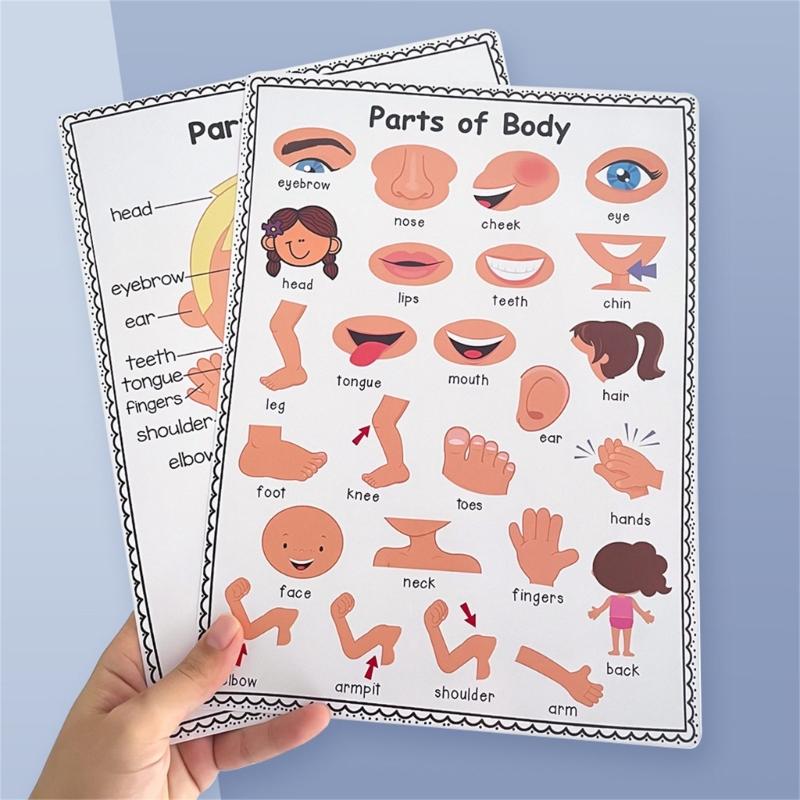 Colorful Educational Poster Te - Kids Educational Posters reseña y precio